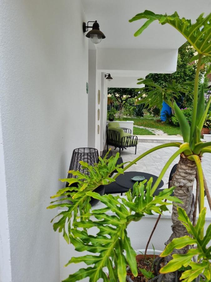 B&B Kamalei Тропеа Екстер'єр фото